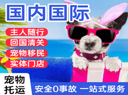海口机场空运国际宠物托运 【国